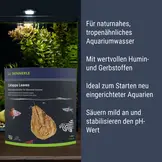 Catappa Leaves 10 St - Voor 800 L