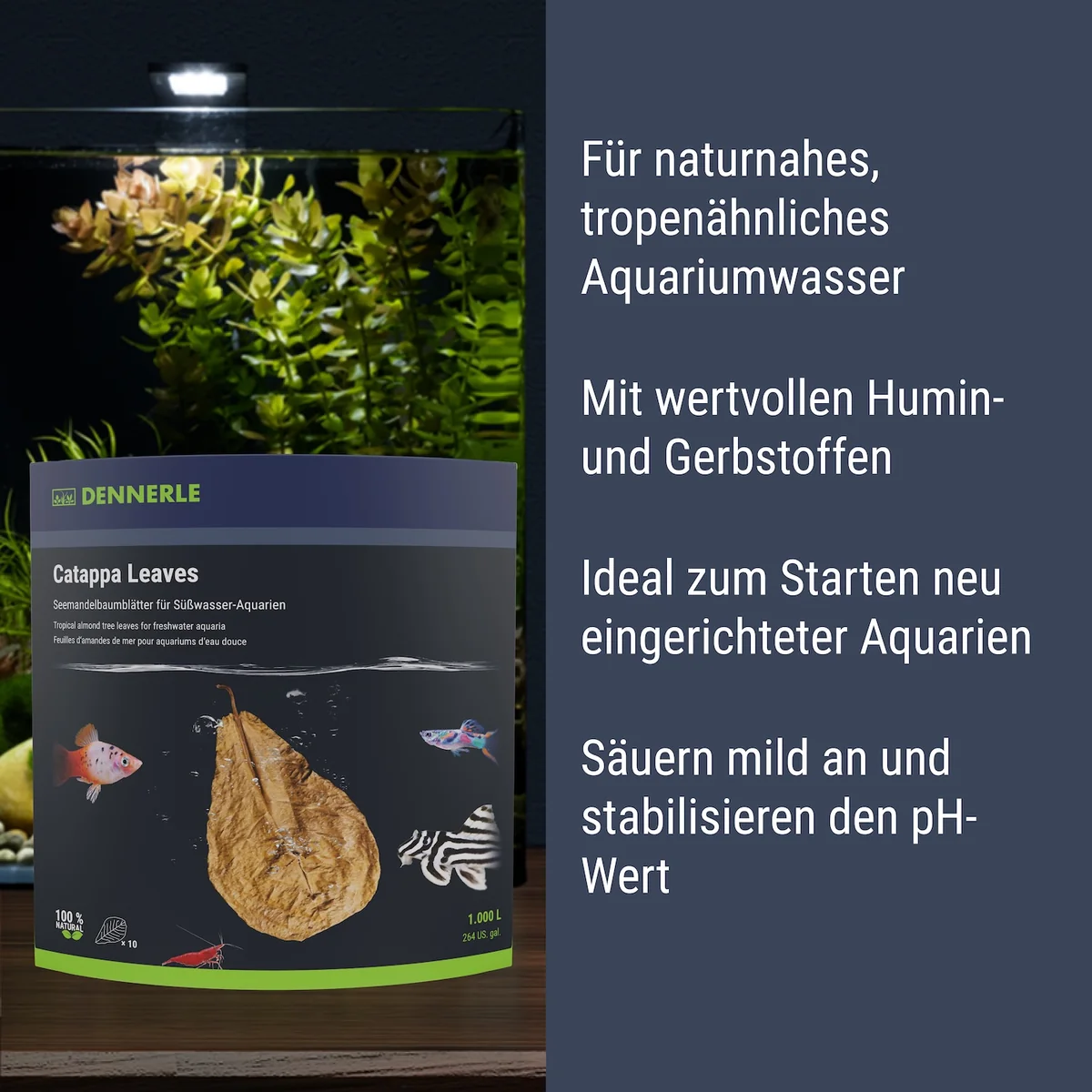 Catappa Leaves 10 St - Voor 800 L