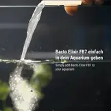 Bacto Elixier Fb7 250ml