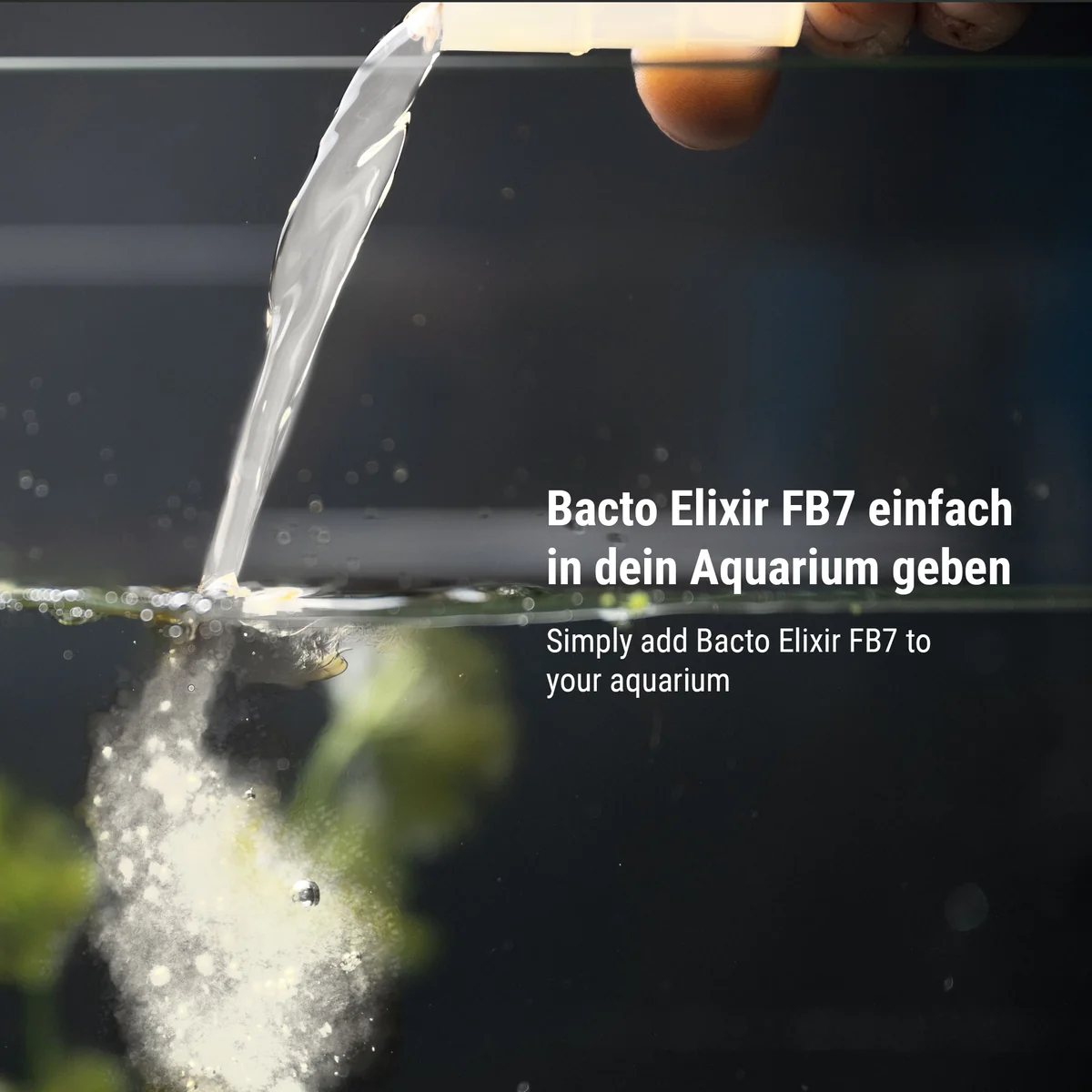 Bacto Elixier Fb7 250ml