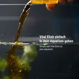 Vital Elixier 500ml