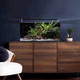 Aquarium Nano Tank Basic 60 L
