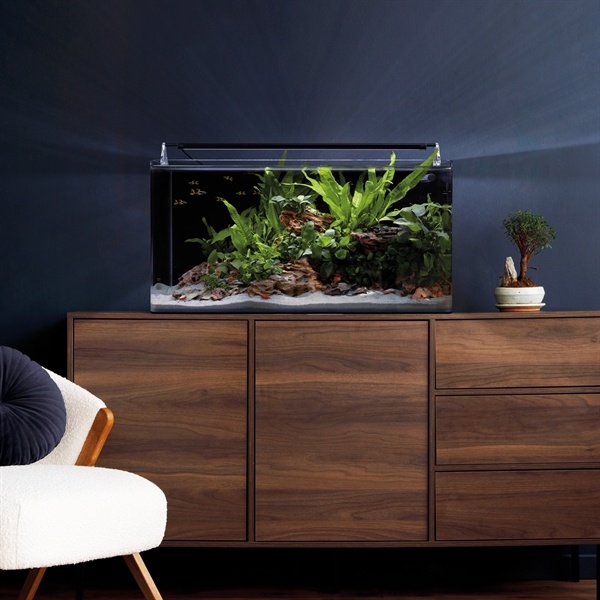 Aquarium Nano Tank Basic 60 L