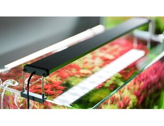 Series B LED-systeem 30-50 CM Tweedekans