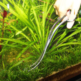 Proscape Tool S20 Gegolfde Schaar