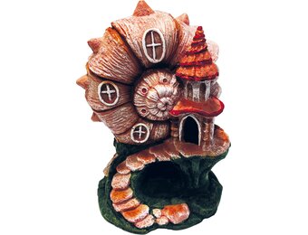 Deco Kasteel Abalone