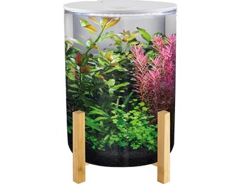 Orbiq 11 Wit