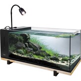 River Aqua 60