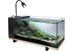 River Aqua 60