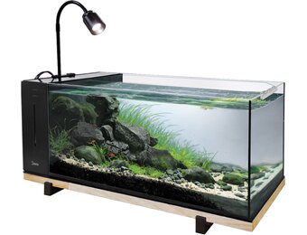 River Aqua 60