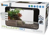 Paludra 60