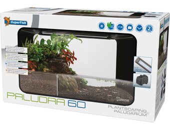 Paludra 60