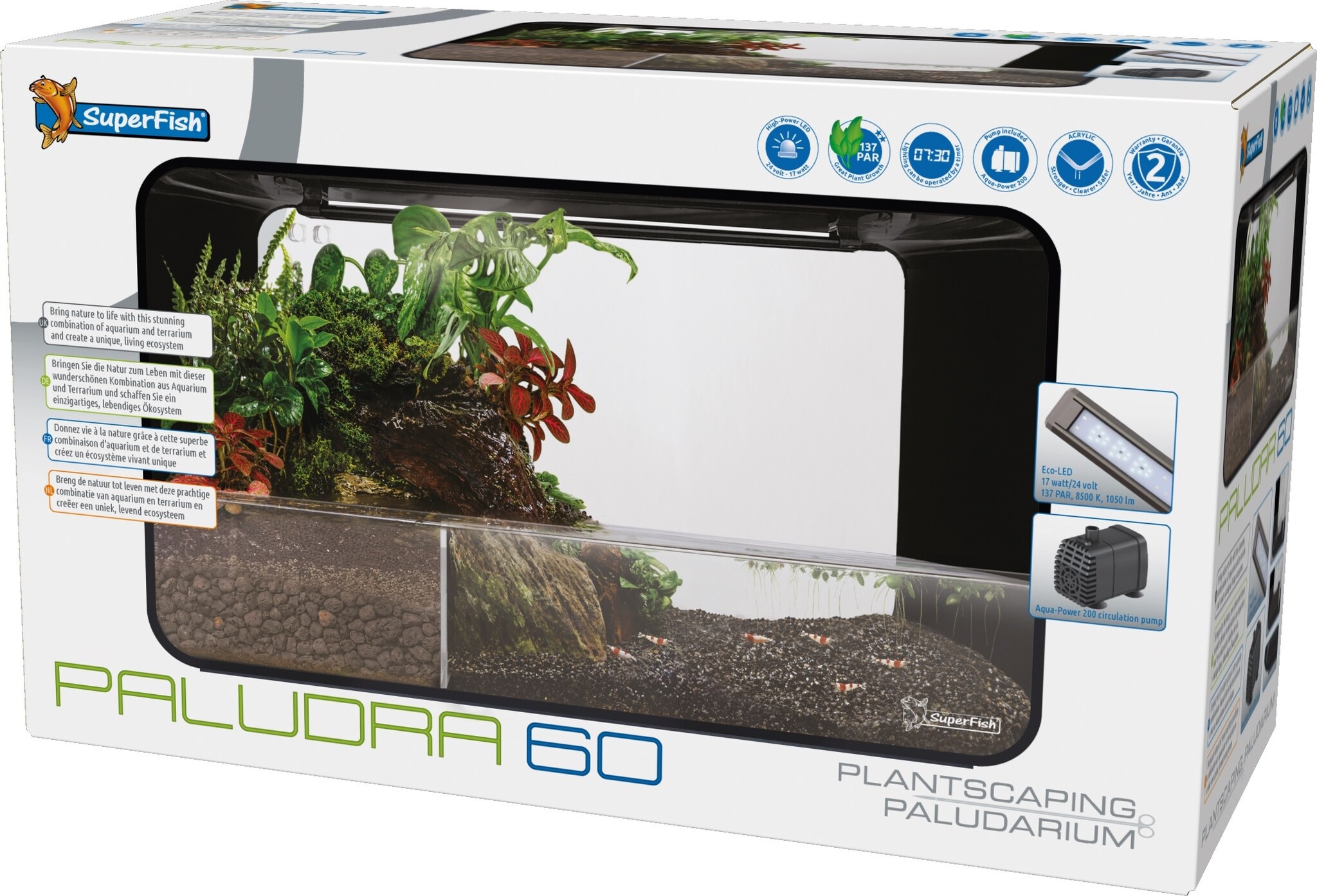 Paludra 60