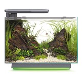 Quadro 70 Multi Colour Zwart Tweedekans