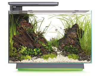 Quadro 70 Multi Colour Zwart Tweedekans