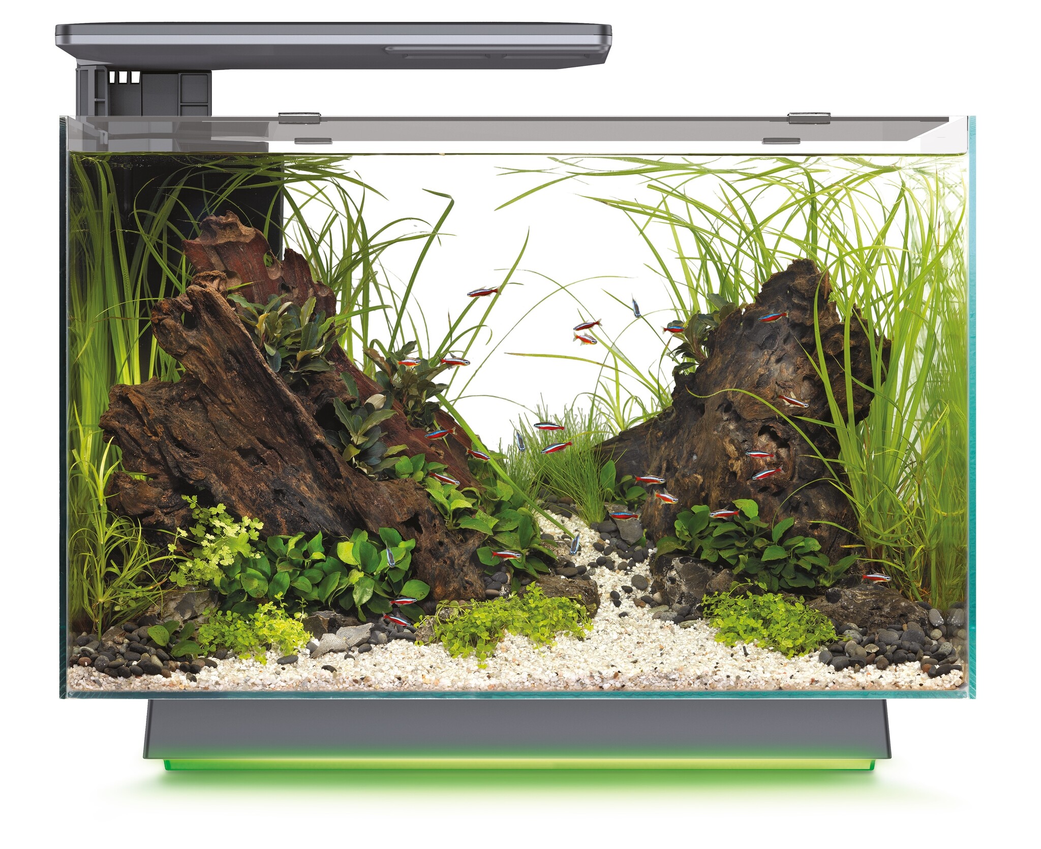 Quadro 70 Multi Colour Zwart Tweedekans