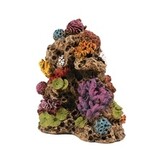 Koraal 2 Decoratie 10,8x7x12cm