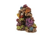 Koraal 2 Decoratie 10,8x7x12cm