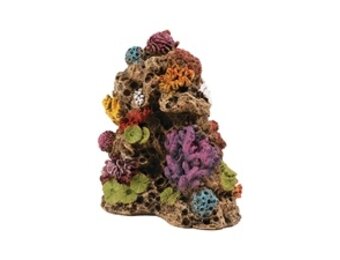 Koraal 2 Decoratie 10,8x7x12cm