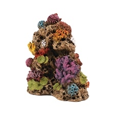 Koraal 2 Decoratie 10,8x7x12cm
