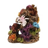 Koraal 2 Decoratie 10,8x7x12cm