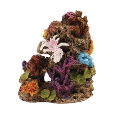 Koraal 2 Decoratie 10,8x7x12cm