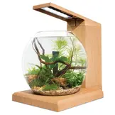 Liv Aquarium teak houtlook