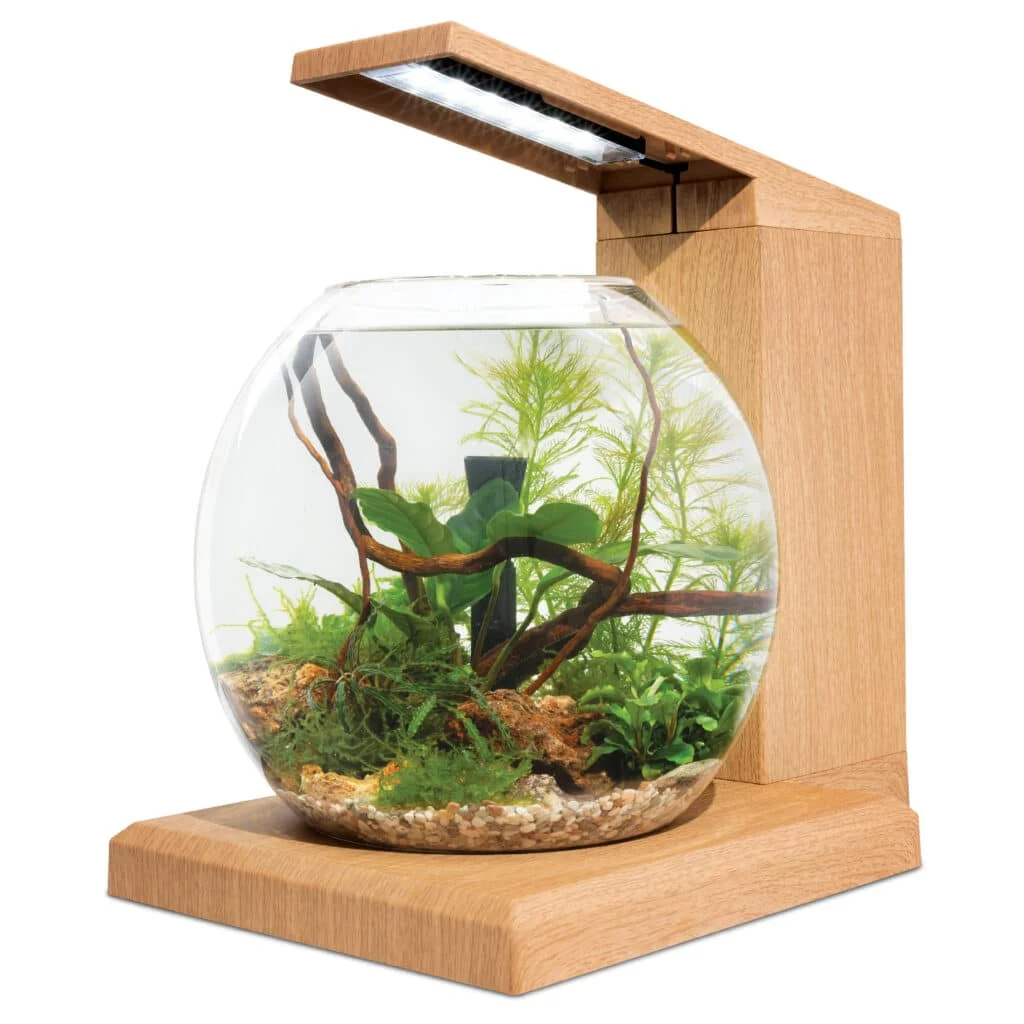 Liv Aquarium teak houtlook