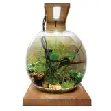 Liv Aquarium teak houtlook