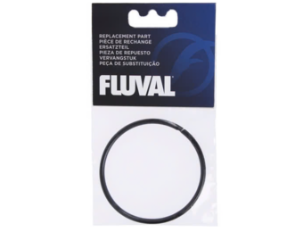 FX5 Motorafdichtring
