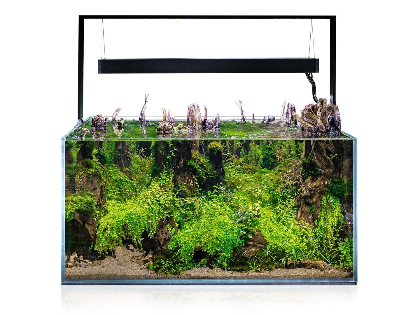 Aquarium met Meubel ULTRASCAPE 90 Forest Set