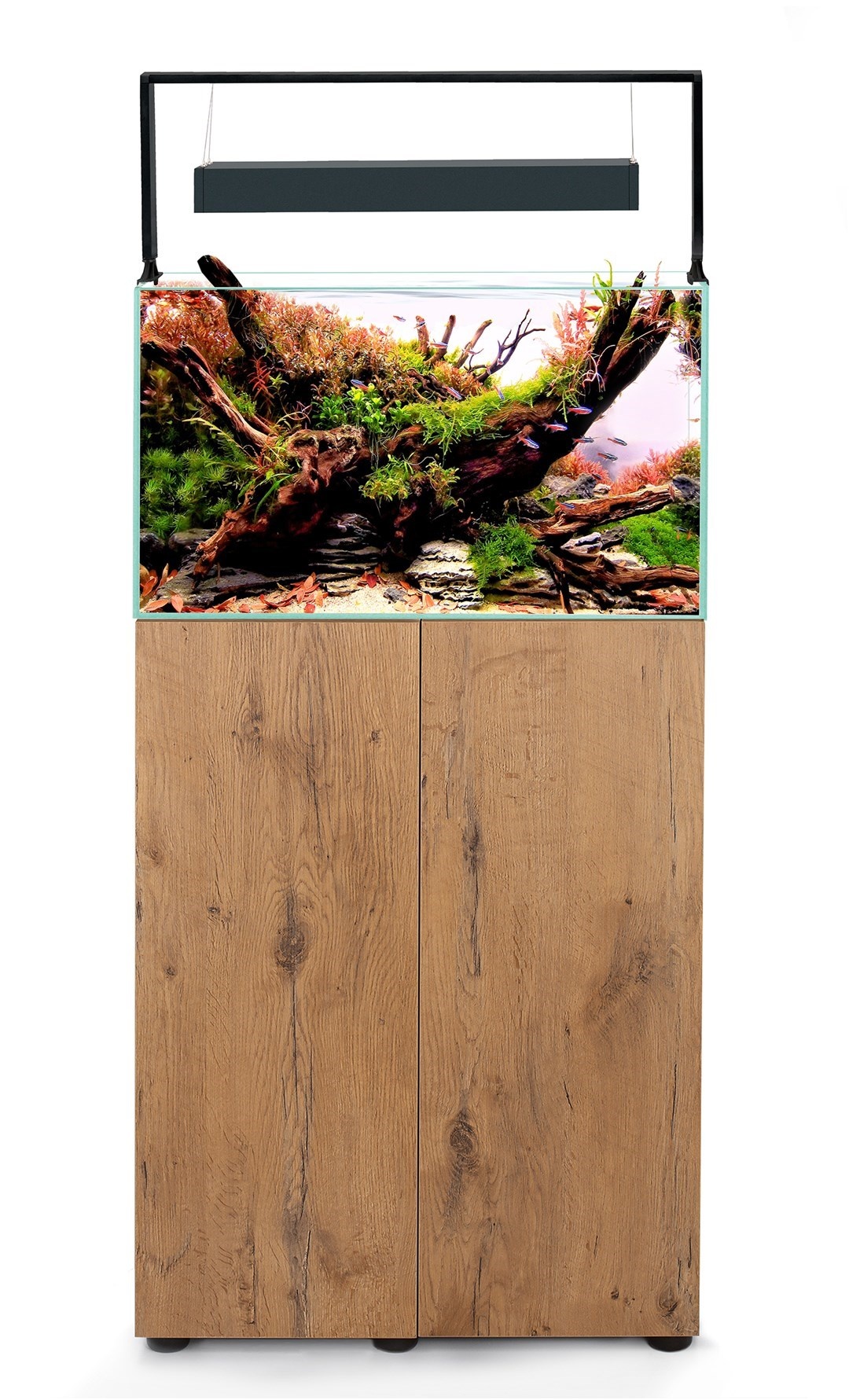 Aquarium met Meubel ULTRASCAPE 60 Forest Set