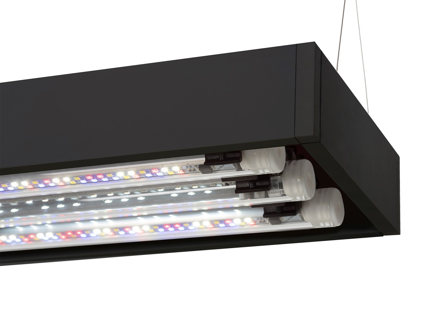 Aquarium met Meubel ULTRASCAPE 60 Forest Set