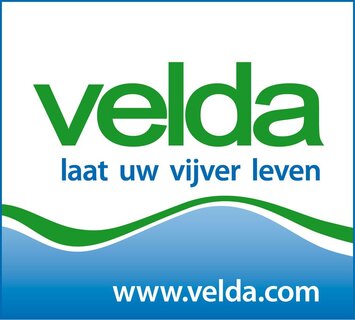 Velda