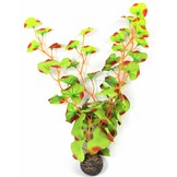 Easy plants hoog 30 cm Nr.13 Zijde