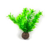 Easy plants voorgrond 13cm NR.8