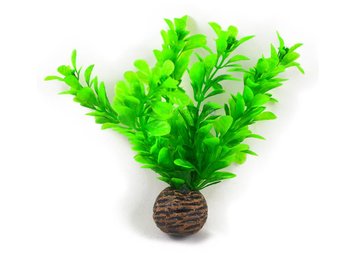 Easy plants voorgrond 13cm NR.8