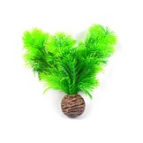 Easy plants voorgrond 13cm NR.9