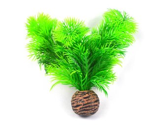 Easy plants voorgrond 13cm NR.9