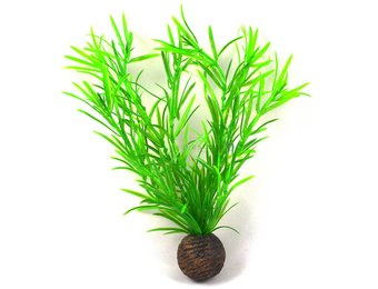 Easy plants middel 20 cm NR.3