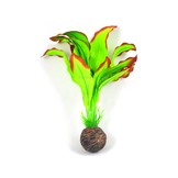 Easy plants middel 20 cm Nr.9 Zijde