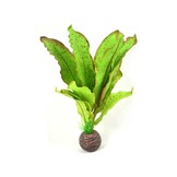 Easy plants middel 20 cm Nr.12 Zijde