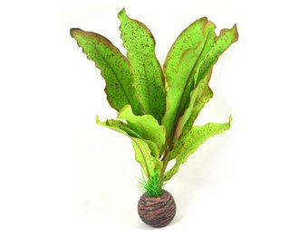 Easy plants middel 20 cm Nr.12 Zijde