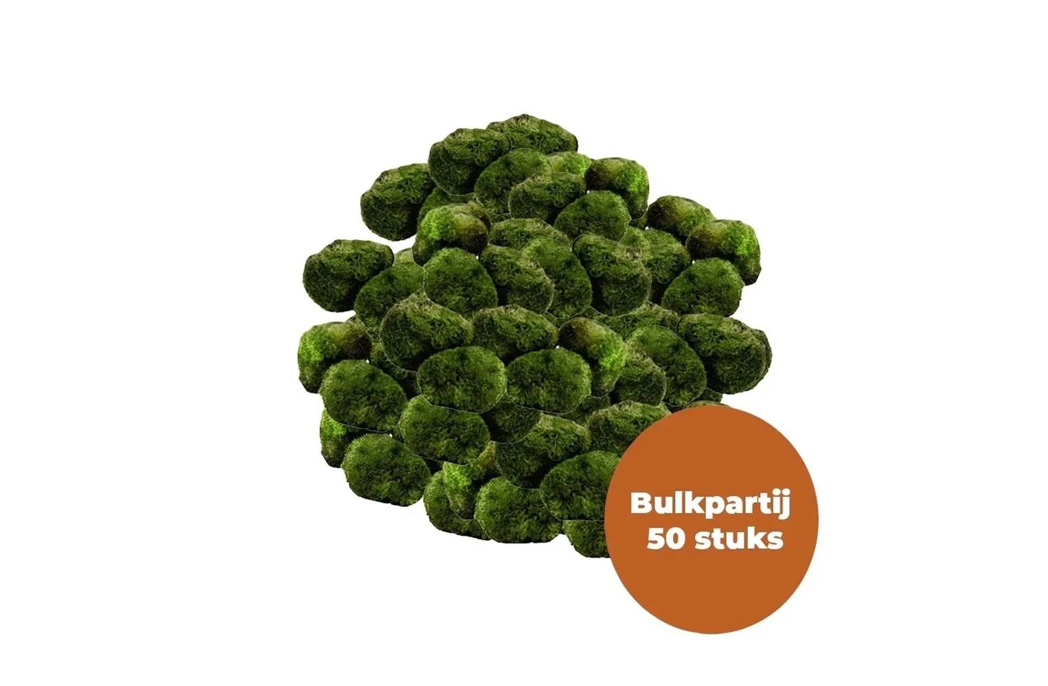 Waterplant Mosbol Chladoflora