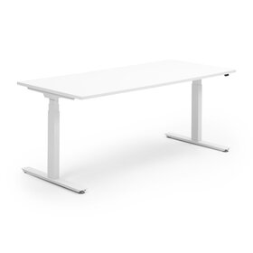 Activedesk wit | wit