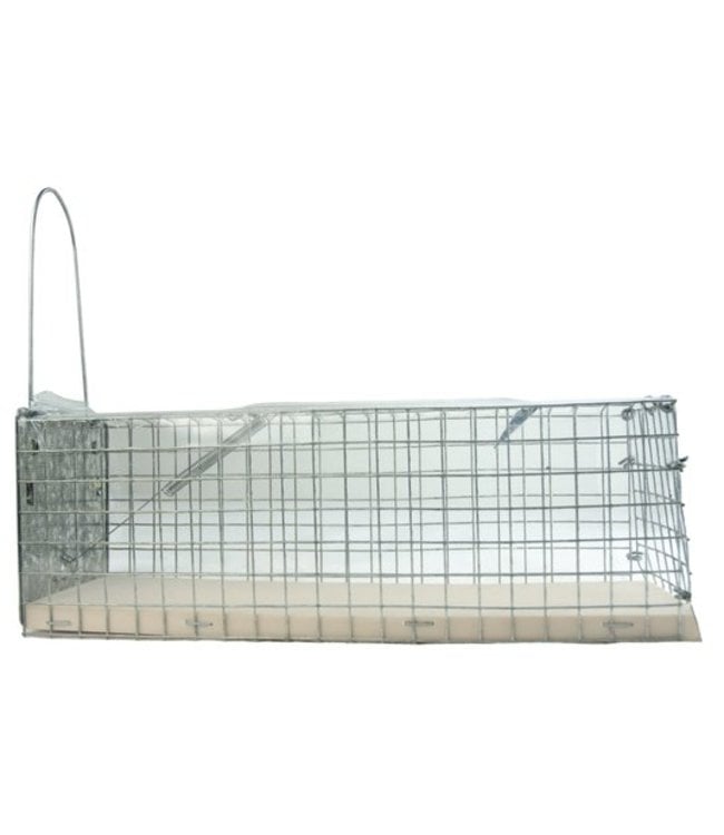 Inloopval Levend "Alive" (ratten) - bodem kunststof