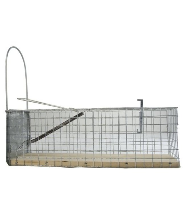 Inloopval Levend "Alive" (ratten) - bodem hout