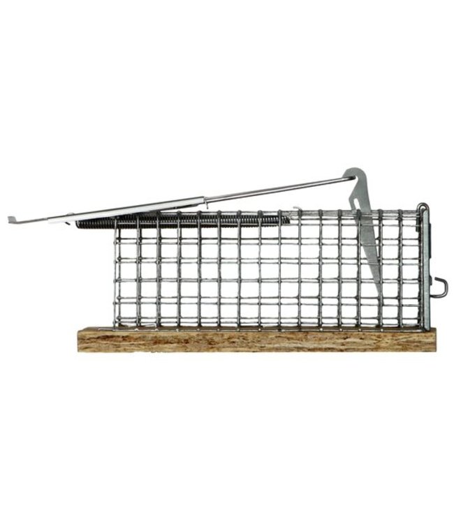 Inloopval Levend "Dura" (muizen)