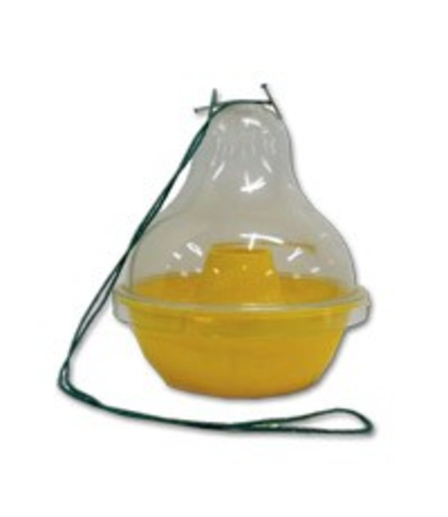 Wespen- en Vliegenval