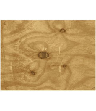 Tork Tork placemat 31x42cm Wood Look 5x500